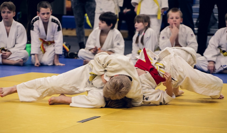 Benefits of Judo as a Hobby